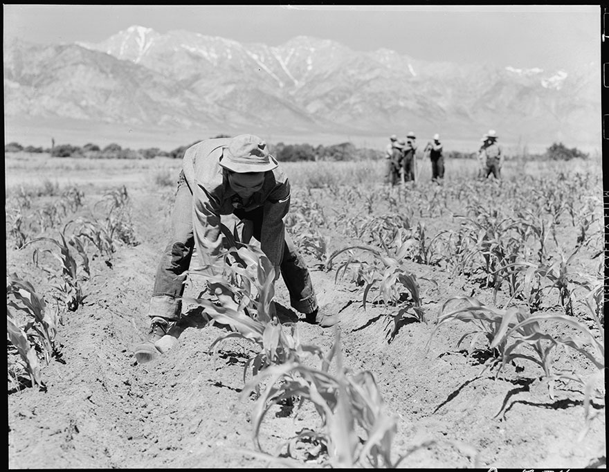 japanese-internment-camp-photos-dorothea-lange-12-5ca213fe6db85  880