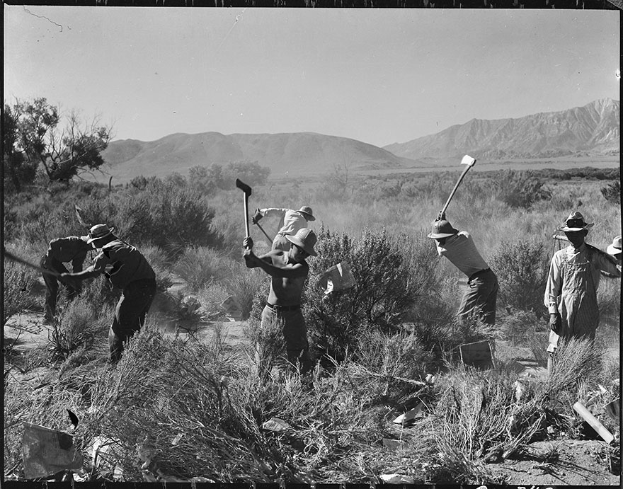 japanese-internment-camp-photos-dorothea-lange-40-5ca21435c9ce0  880