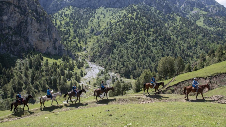 pravnik kyrgystan 2