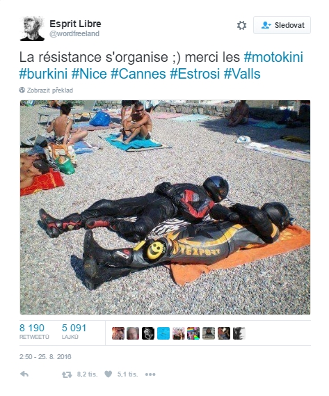 motorkini twitter