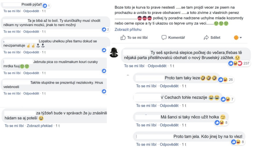 „chcípni Prase Kéž By Podřezali Tebe “ Ženy Z Nezisku čelí